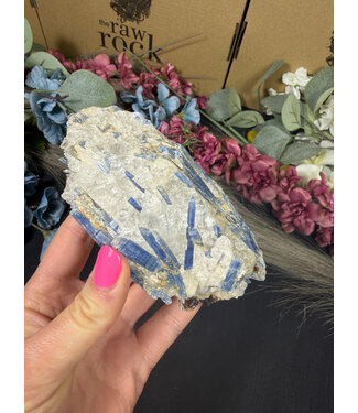 Kyanite Specimen #307, 342gr
