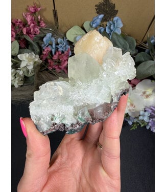 Apophyllite Specimen #1677, 264gr