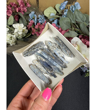 Indigo Kyanite Mini Lot #37, 102gr