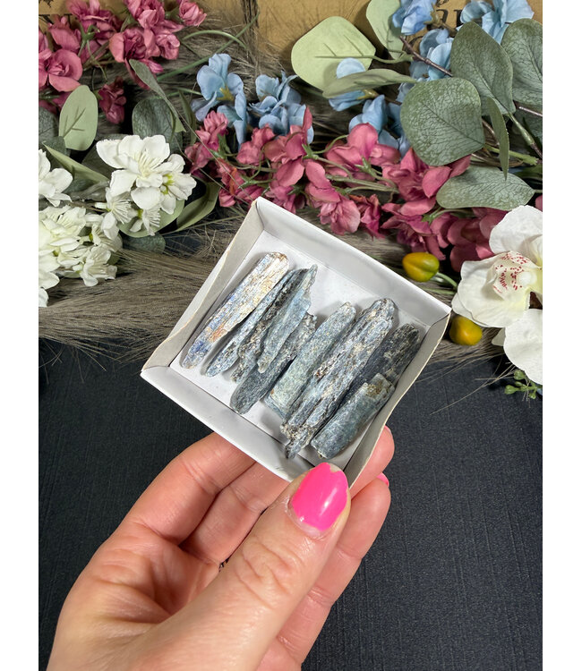 Indigo Kyanite Mini Lot #29, 50.88gr