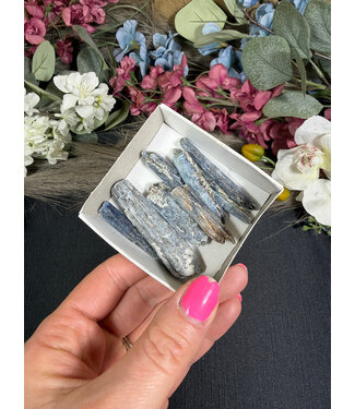 Indigo Kyanite Mini Lot #21, 49.8gr