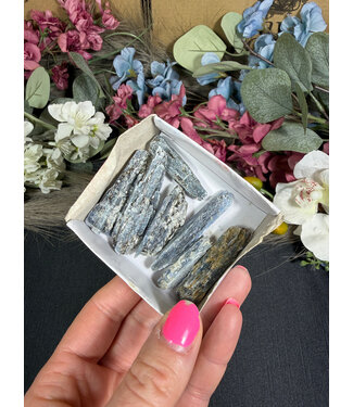 Indigo Kyanite Mini Lot #15, 51.35gr