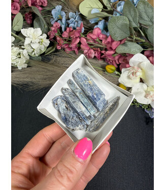 Indigo Kyanite Mini Lot #13, 51.74gr