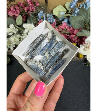 Indigo Kyanite Mini Lot #1, 49.62gr