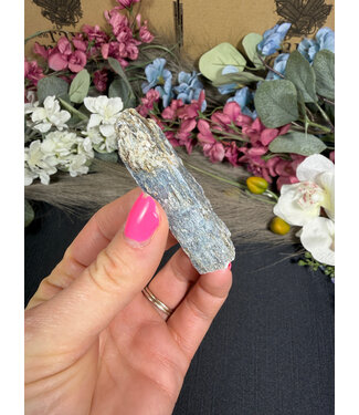 Indigo Kyanite #12, 26.95gr