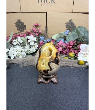 Septarian Dragon Egg #3, 440gr