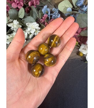 Mini Tiger Eye Sphere, 2cm