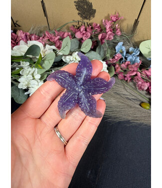 Fluorite Starfish #1, 46gr