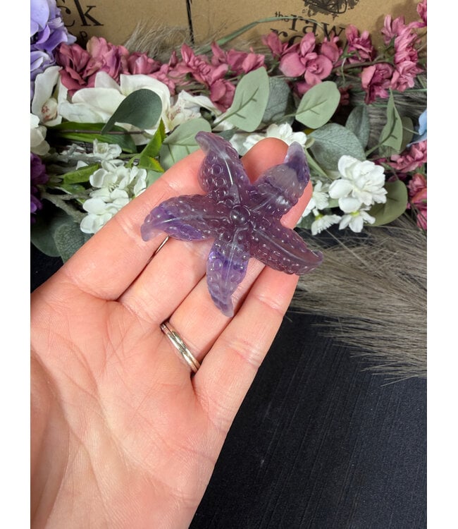 Fluorite Starfish #3, 50gr