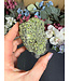 Raw Peridot with Olivine on Matrix #24, 328gr