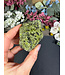 Raw Peridot with Olivine on Matrix #7, 200gr