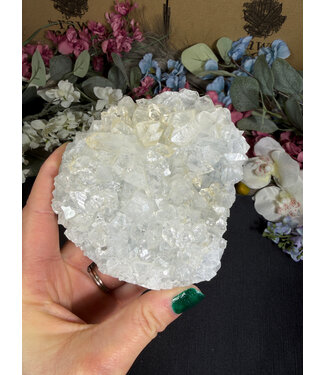 Apophyllite Specimen #1706, 522gr