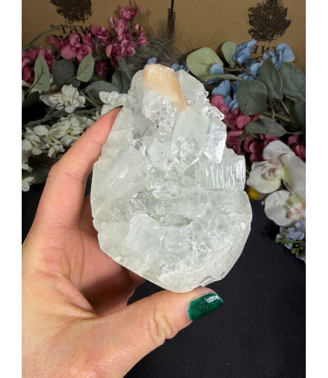 Apophyllite Specimen #1705, 394gr