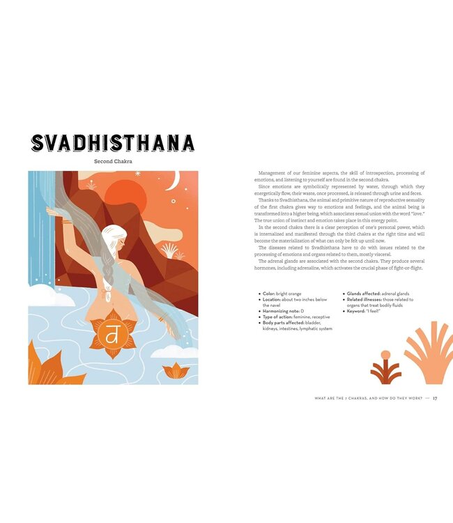 The 7 Chakra Crystals