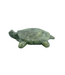 Soapstone Carving Kit: Turtle