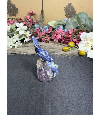 Gemstone Parrot #353, 112gr