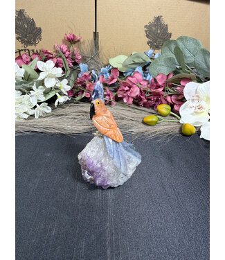 Gemstone Parrot #352, 176gr