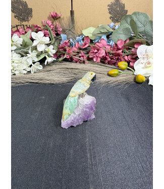 Gemstone Parrot #347, 90gr