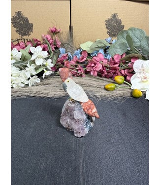 Gemstone Parrot #346, 108gr