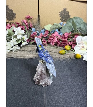 Gemstone Parrot #345, 108gr