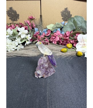 Gemstone Parrot #343, 118gr