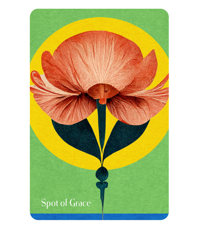 The Book of Awakening Inspiration Deck