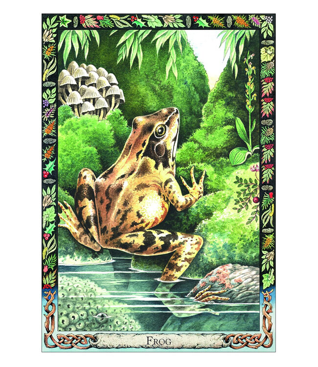 The Druid Animal Oracle Deck