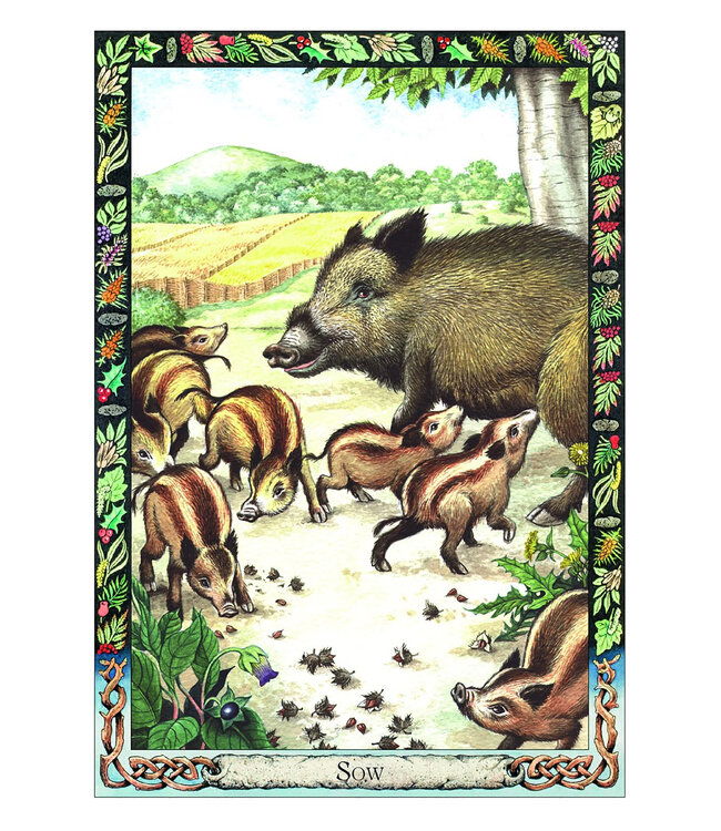 The Druid Animal Oracle Deck