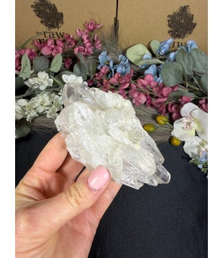 Clear Quartz Cluster #365, 236gr