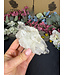 Clear Quartz Cluster #365, 236gr