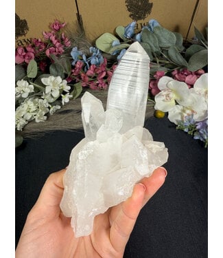 Lemurian Quartz Cluster #1, 532gr