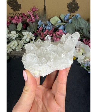 Clear Quartz Cluster #359, 236gr
