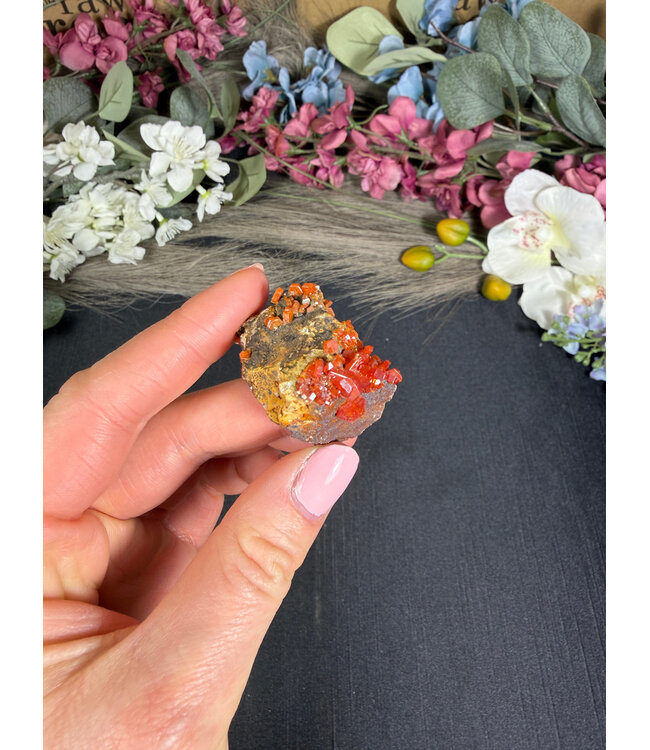 High Grade Vanadinite Specimen #154, 25.97gr