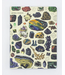 Gems & Minerals Hardcover Notebook