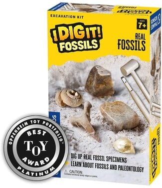 I DIG IT! Real Fossils Kit