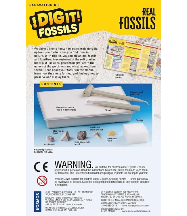 I DIG IT! Real Fossils Kit