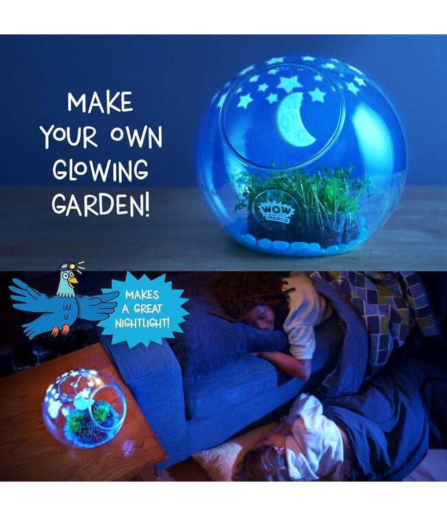 Wow in the World: Light-Up Terrarium