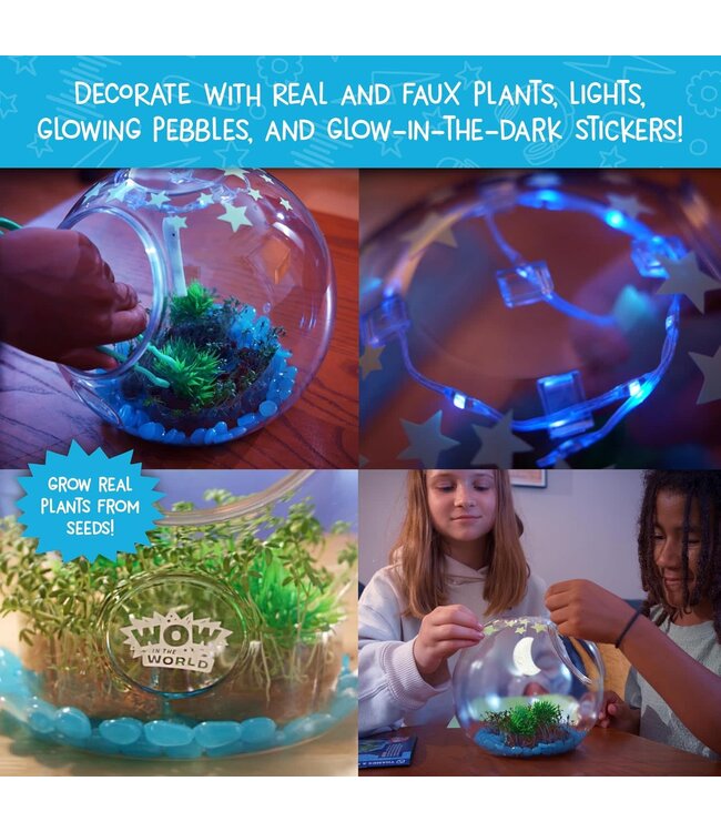 Wow in the World: Light-Up Terrarium