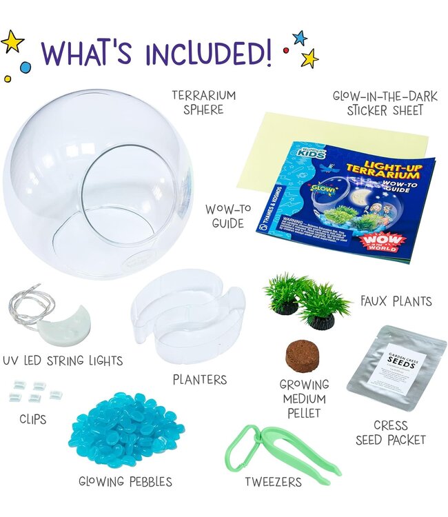 Wow in the World: Light-Up Terrarium