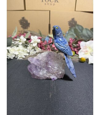 Gemstone Parrot #364, 424gr