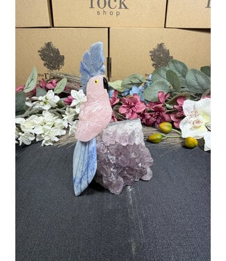 Gemstone Parrot #365, 494gr