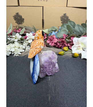 Gemstone Parrot #367, 480gr