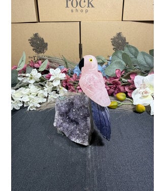 Gemstone Parrot #368, 360gr