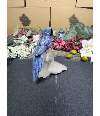 Gemstone Parrot #370, 342gr