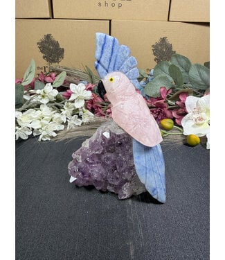 Gemstone Parrot #371, 434gr