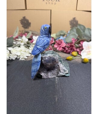 Gemstone Parrot #372, 388gr