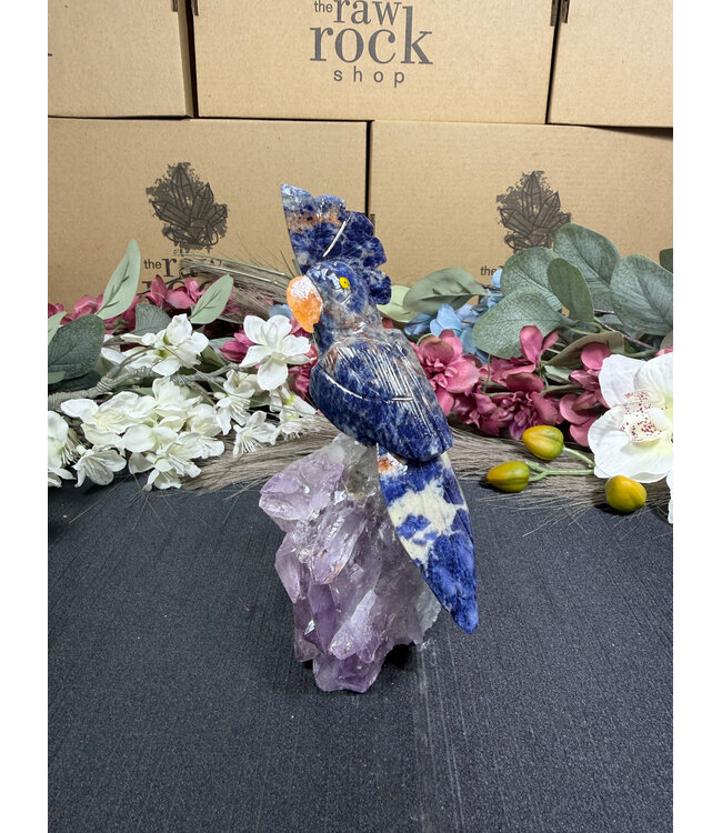 Gemstone Parrot #373, 436gr