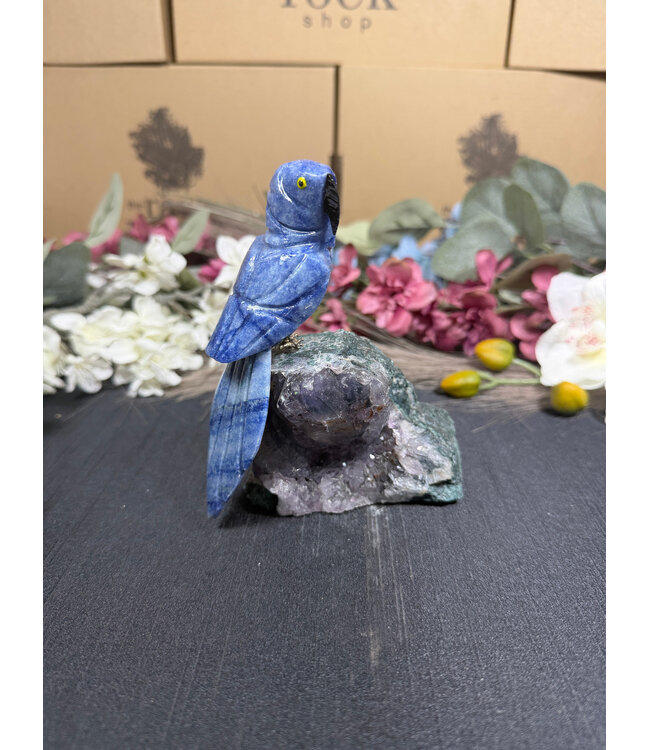 Gemstone Parrot #372, 388gr