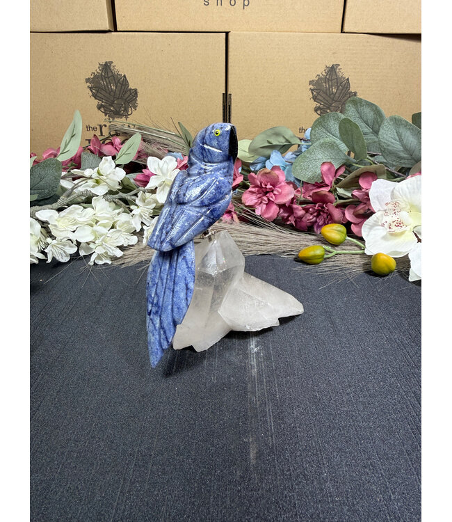 Gemstone Parrot #370, 342gr