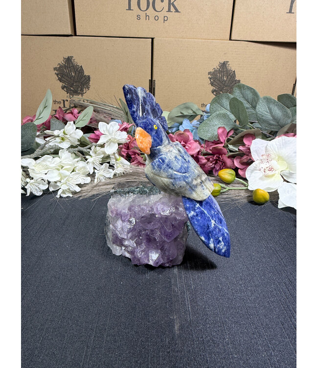 Gemstone Parrot #366, 510gr
